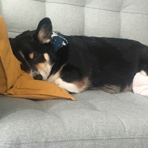 Meet your Posher, Emily - Picture 1 of 1